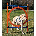 Trixie Pet Products Agility Ring
