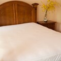 Twin XL-size Dorm Bed Bug Cover Protector