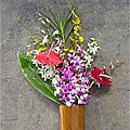 Dendrobium/Oncidium/Anthurium Assortment (12 pcs)
