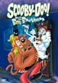 Scooby-Doo Meets the Boo Brothers (DVD)