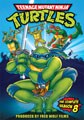 Teenage Mutant Ninja Turtles - Season 8 (DVD)
