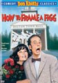 How to Frame a Figg (DVD)