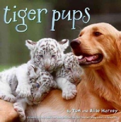Tiger Pups (Hardcover)