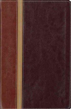 New International Version/ The Message Parallel Study Bible: New International Version, Dark Caramel/Black Italia... (Paperback)
