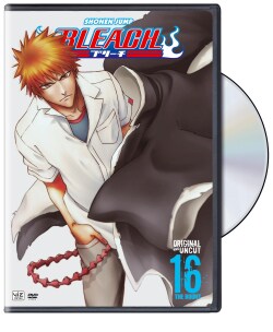 Bleach - Vol. 16 (DVD)