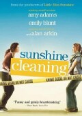 Sunshine Cleaning (DVD)