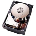IBM 146.80 GB 3.5" Internal Hard Drive (Refurbished)