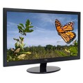 CTL LP2150 22