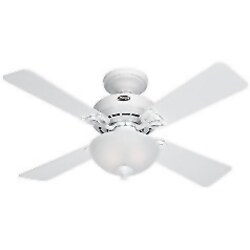 Hunter Fan Ashlyn 21348 Ceiling Fan